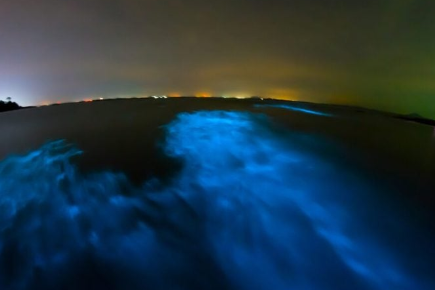 The Most Dangerous Ocean Expeditions Ever Attempted